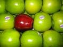 APPEL