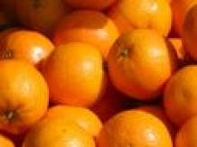 SINAASAPPEL